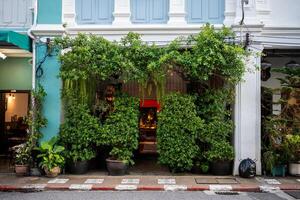 Green covered house front and street entryway decorated with vines and vegetation in Thailand photo