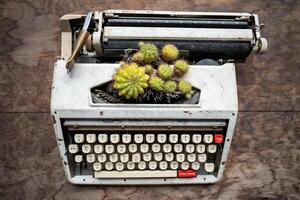 Old typewriter convert in unique cactus flowerpot Decorative reuse of antique machinery, eco idea photo
