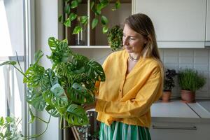 Calm woman holding Monstera Monkey plant, inspecting leaves and health before watering or repotting photo