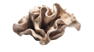Clay sculpted into a unique abstract form with transparent background png