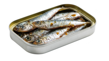 Open tin of sardines on transparent background png