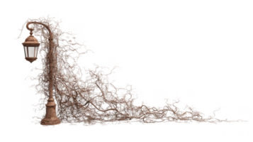 Rusty lamppost entwined with tangled vines on transparent background png