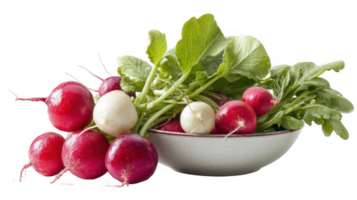 Fresh radishes with green leaves resting beside a bowl on transparent background png