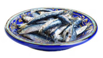 Fresh sardines lying on elegant blue ceramic plate with transparent background png