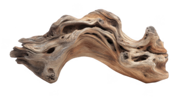 Curved driftwood showing intricate patterns on transparent background png