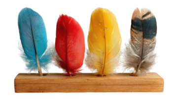Four brightly colored feathers resting on wooden base with transparent background png