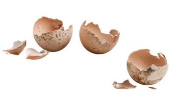 Broken eggshells resting on transparent background exhibiting intricate details png