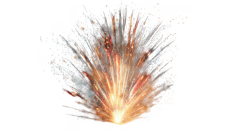Firework exploding in night sky with transparent background png