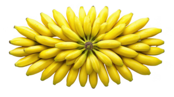 Bunch of bananas creating a sunburst design on transparent background png