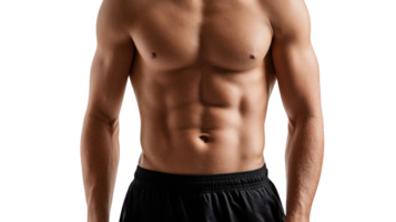Muscular torso of a fit man showing defined abs on transparent background png