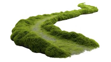 Winding mossy path isolated on transparent background png