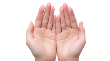 Two open hands showing palms facing up on transparent background png