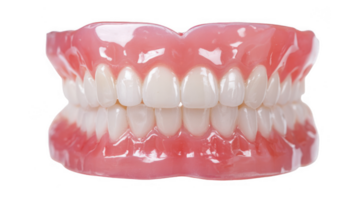 Dentures showing overbite on transparent background png