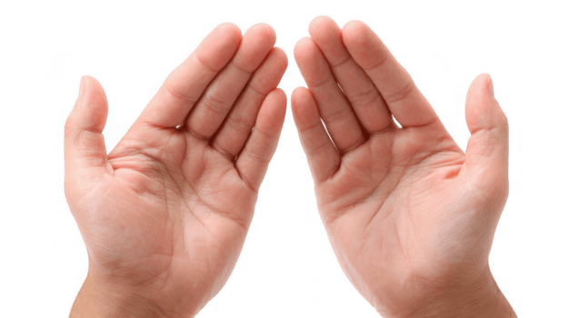 Two open hands showing palms facing each other on transparent background png
