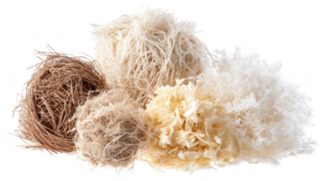 Different natural fibers showing various textures and colors on transparent background png