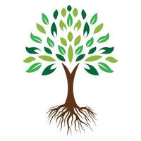 Abstract Tree with Roots Logo vector