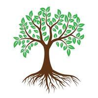 Large tree with green leaf and roots. vector