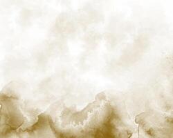 Watercolor bloom with soft gradient transitions vector
