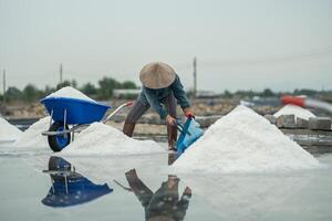 Worker collect salt from pools in Hon Knoi Vietnam using buckets for transport, mineral site mining photo