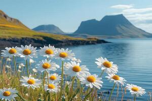 Scenic Summer Landscape with Daisies and Mountain Lake for Tranquil Nature Photography photo