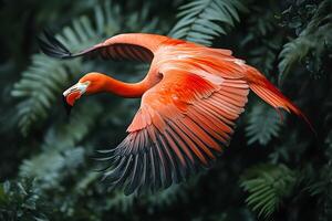 Elegant Flamingo in Flight with Lush Greenery Background photo