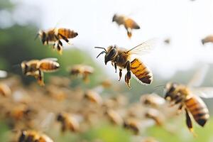 Swarm of Honeybees in Flight Nature's Pollinators in Action photo
