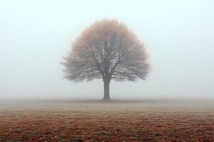 Solitary Tree in Misty Autumn Landscape for Nature and Serenity Themes photo