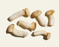 Pleurotus eryngii white mushrooms with shadows, edible fungus as minimal flat lay on beige background, top view pastel colored still life from whole mushroom at hard light, alternative proteins. photo