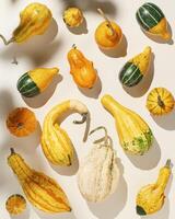 Pumpkins, gourds, squashes, patissons of different shapes and colors top view background. Autumn flat lay composition with ornamental pumpkins, minimal style, sunlight trend shadows photo