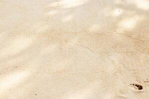 Pristine Beach Sand with Subtle Textures Untouched fine sandy beach with delicate shadows and soft textures, punctuated by single footprint, invoking sense of solitude and serene beauty of nature. photo