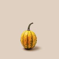 Decorative pumpkin on beige background with copy space. Minimal style aesthetic photo, autumn concept, Halloween and Thanksgiving holiday card. Mini cucurbita or squash, pastel color, creative photo