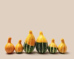 Decorative pumpkins on beige background. Minimal style aesthetic photo, stylish autumn concept, Halloween and Thanksgiving holiday. Mini cucurbita or squash, pastel color, autumnal vegetables photo