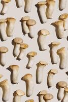 Pleurotus eryngii white mushrooms with shadows, edible fungus as minimal flat lay on beige background, top view pastel colored still life from whole mushroom at dark light, alternative proteins photo