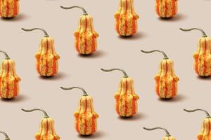 Top view pattern of Decorative pumpkins on beige background, Minimal style modern still life, autumn or fall season holiday or harvest concept. Autumnal mini gourd or squash, trend layout photo
