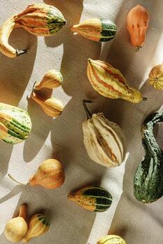 Top view pattern of Decorative pumpkins with shadows at sunlight on canvas tablecloth background, Rustic style design still life, autumn season holiday or harvest concept. Autumnal flat lay photo