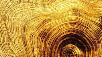 Yellow brown colored Wood Texture Close-up natural tree growth rings in cross-section pattern, juniper wooden Abstract Organic Background banner, organic lines form curved concentric nature patterns photo