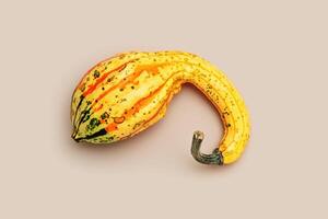 Decorative pumpkin on beige background, Minimal style modern still life, autumn or fall season holiday or harvest concept. Mini gourd or squash, cute ugly autumnal plant, stylish top view photo