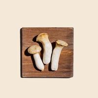 Pleurotus eryngii white mushrooms on wooden board, edible fungus in minimal style on beige background, top view aesthetic food photo, flat lay from whole mushroom, health eat, vegetarian food photo
