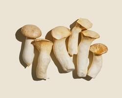 Pleurotus eryngii white mushrooms, edible fungus in minimal style composition on beige background, top view aesthetic food photo, flat lay from whole mushroom, health eating, vegetarian food photo
