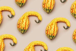 Top view pattern of Decorative pumpkin on beige background, Minimal style modern still life, autumn or fall season holiday or harvest concept. Mini gourd or squash, cute ugly autumnal plant photo
