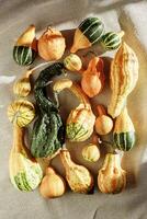 trend pattern of Decorative pumpkins with shadows at sunlight on canvas tablecloth background, Rustic style design still life, autumn season holiday or harvest concept. Autumnal flat lay photo