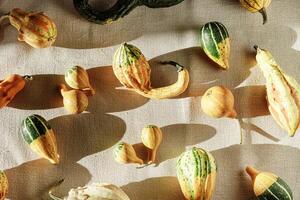 aboveview pattern of Decorative pumpkins with shadows at sunlight on canvas tablecloth background, Rustic style design still life, autumn season holiday or harvest concept. Autumnal flat lay photo