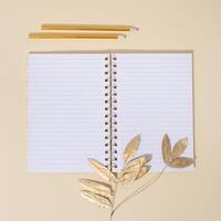 Top view of open school notebook with blank pages and pencils for writing notes. Creative workspace at home photo