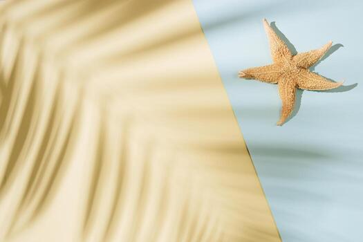Summer minimal background with shadow of palm tree leaf and starfish. Pastel colored aesthetic photography photo
