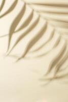 Natural palm leaf shadows with sun shade on light yellow. Summer minimal concept, beautiful daylight photo