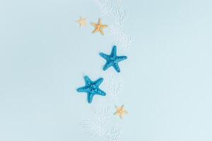 Summer background with seastar and white coral on pastel blue. Concept of travel and vacation. photo