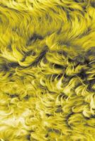 Texture of fur, macro colored sheep hair background, natural fluffy wool, furry surface photo