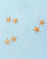 Summer nautic flat lay with sea stars and white coral on blue background. Theme of sea life. photo