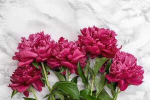 Red peony flowers on marble table. Natural summer blooms top view. Flowery holiday background. photo
