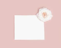 One beautiful white rose flower and clear paper on pastel pink background. Minimal monochrome greeting card photo